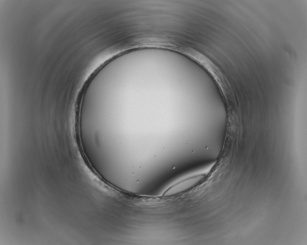 X0000112061147200908251015