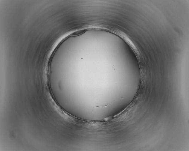 X0000112061148200908251015