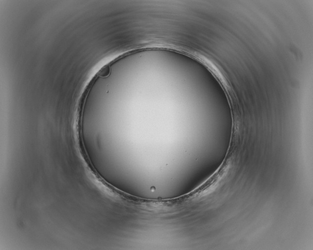 X0000112061149200908251015