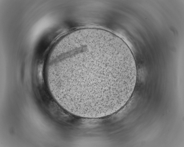 X0000112061150200908251015