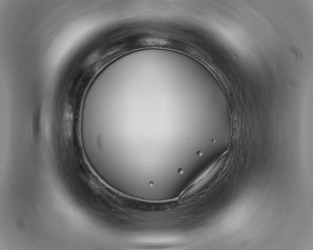 X0000112061151200908251015