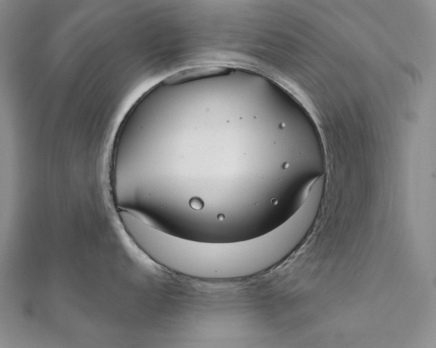 X0000112061152200908251015