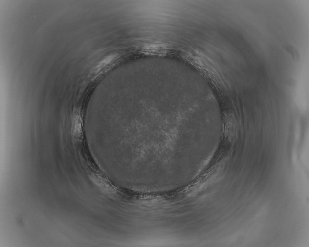 X0000112061154200908251014