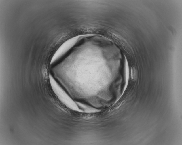 X0000112061155200908251014