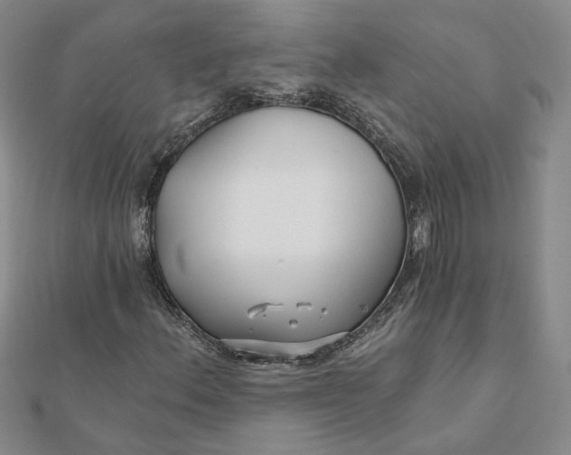 X0000112061156200908251014