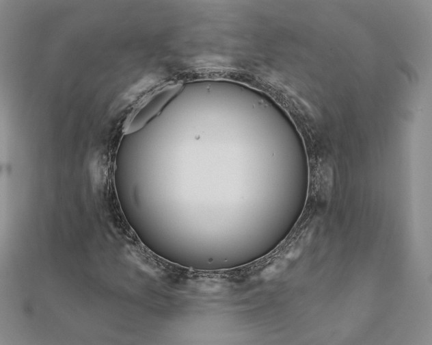 X0000112061157200908251014