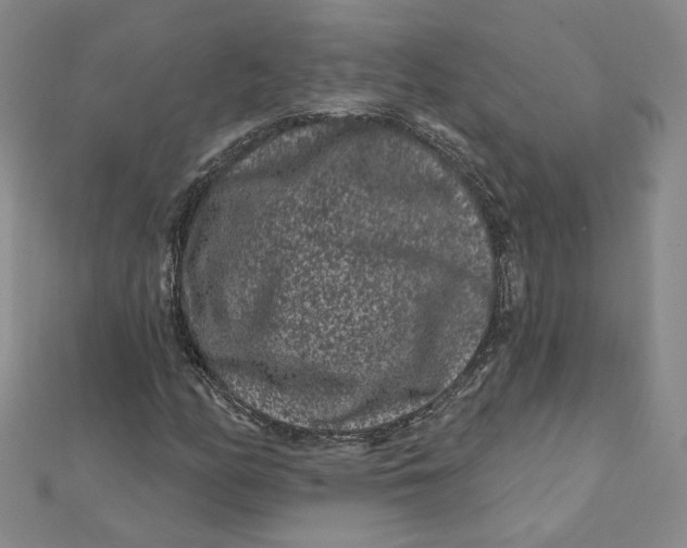 X0000112061158200908251014