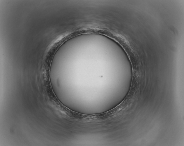 X0000112061159200908251014