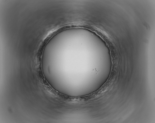 X0000112061160200908251014