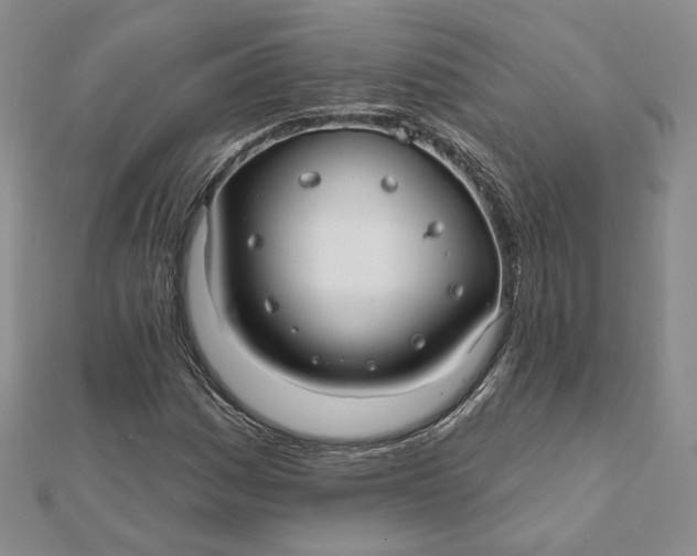 X0000112061161200908251014