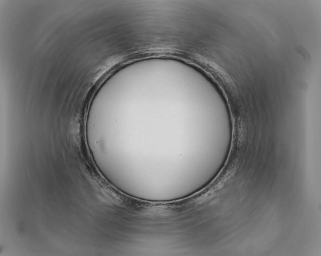 X0000112061162200908251014