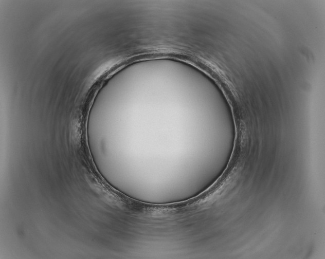 X0000112061163200908251014