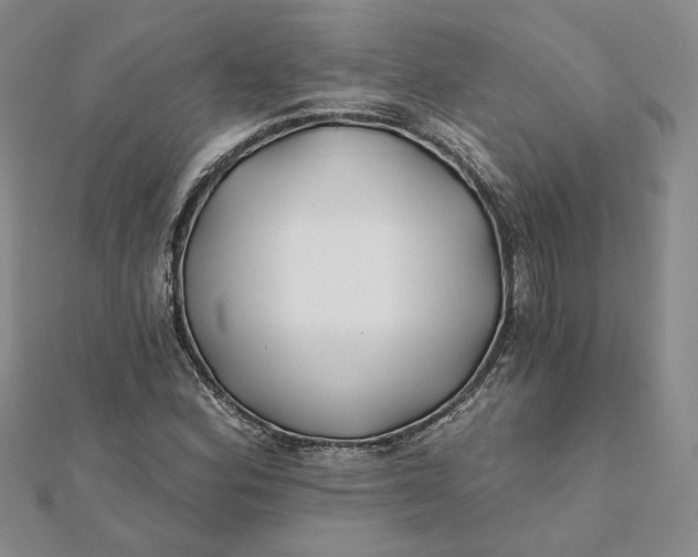 X0000112061164200908251014