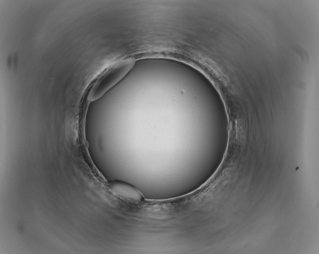 X0000112061165200908251014