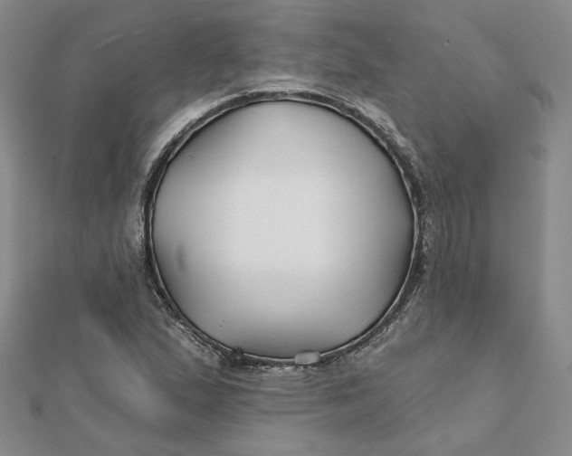 X0000112061167200908251014