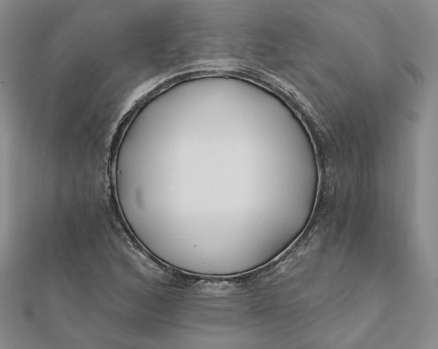 X0000112061168200908251014