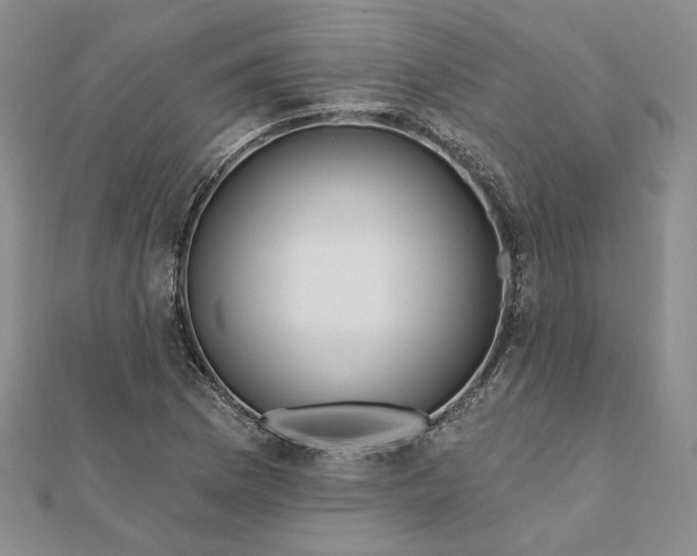 X0000112061169200908251014