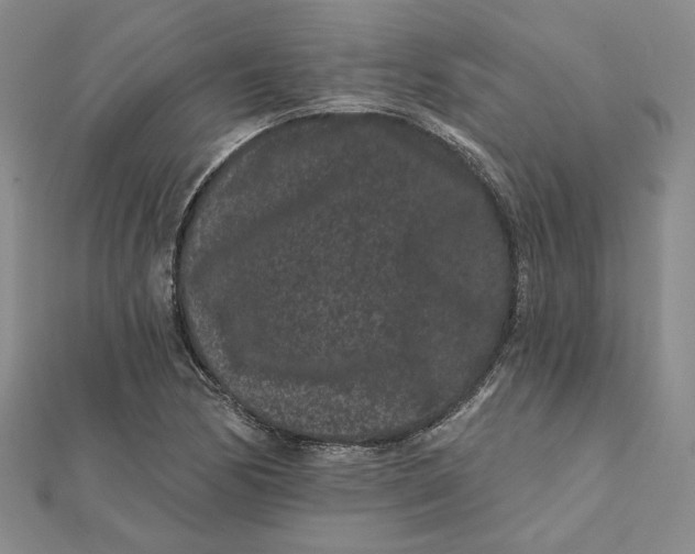 X0000112061170200908251014