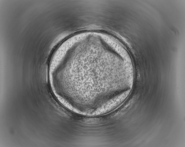 X0000112061171200908251014