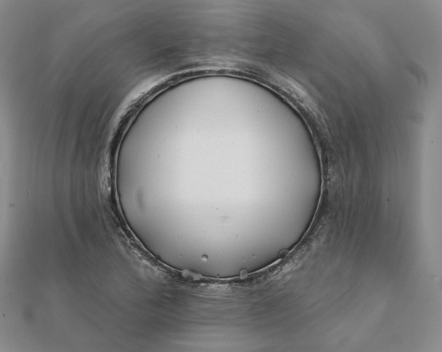 X0000112061172200908251014