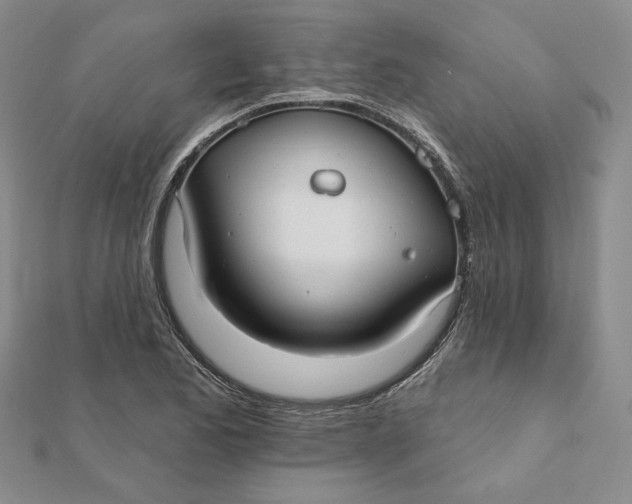 X0000112061173200908251014