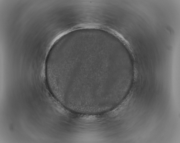 X0000112061174200908251014