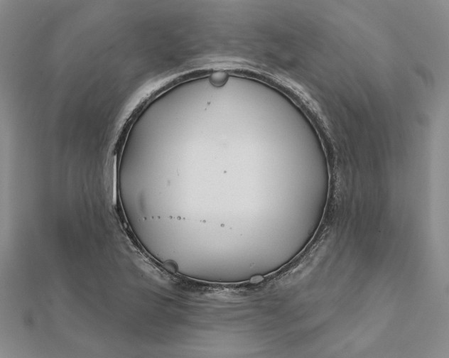 X0000112061175200908251014