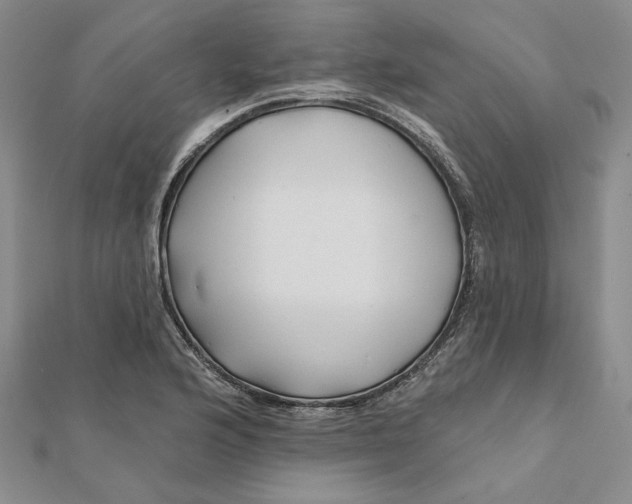 X0000112061176200908251014