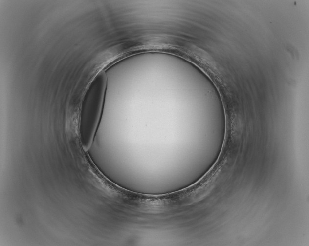 X0000112061177200908251014