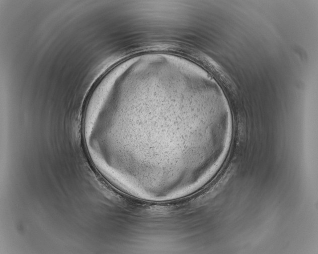 X0000112061178200908251014