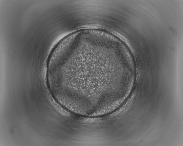 X0000112061179200908251014