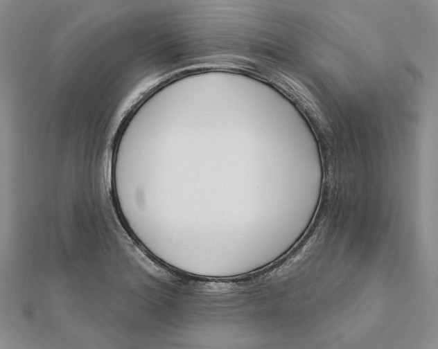 X0000112061180200908251014