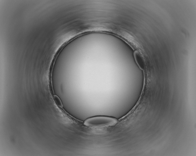 X0000112061181200908251014