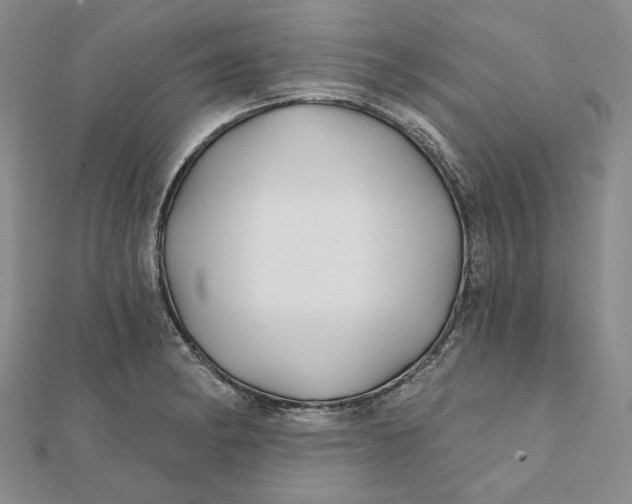 X0000112061182200908251014