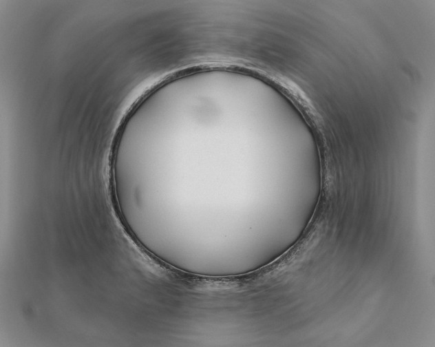 X0000112061183200908251014