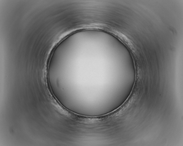 X0000112061184200908251014