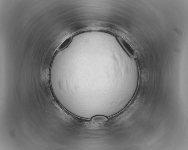 X0000112061185200908251014