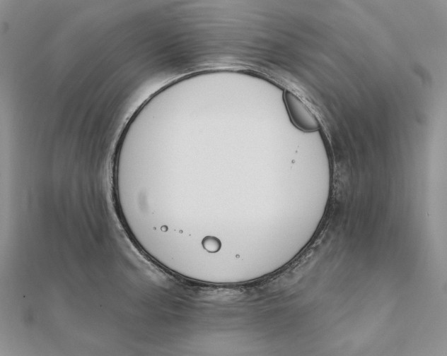 X0000112061187200908251014