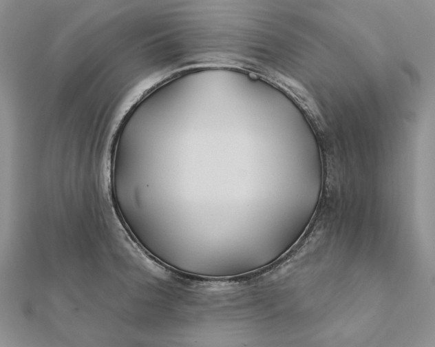 X0000112061188200908251014