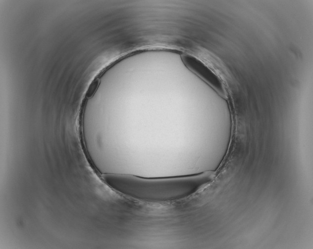 X0000112061189200908251014