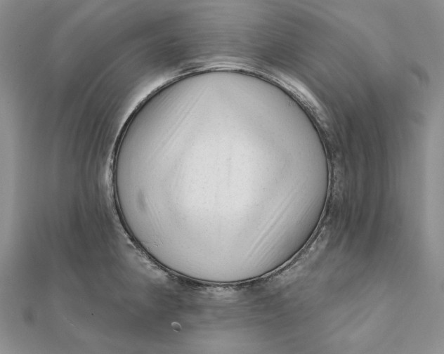 X0000112061190200908251014