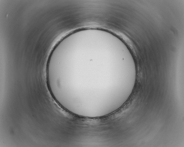 X0000112061191200908251014