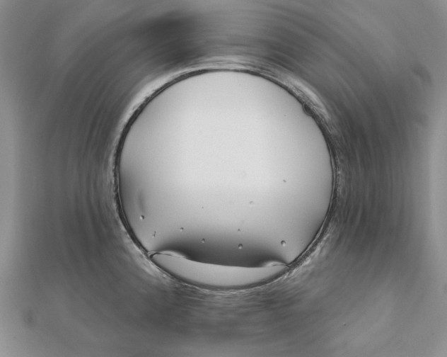 X0000112061192200908251014