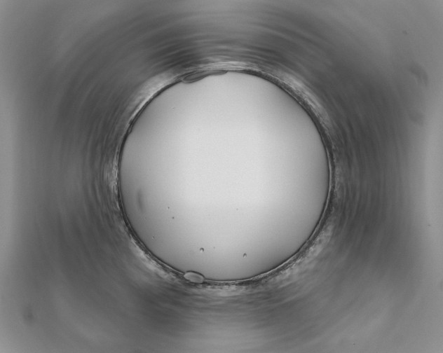 X0000112061193200908251014