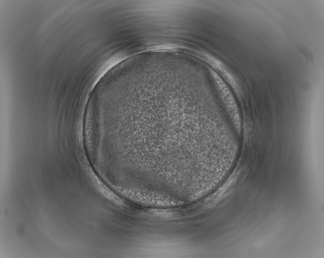 X0000112061194200908251014