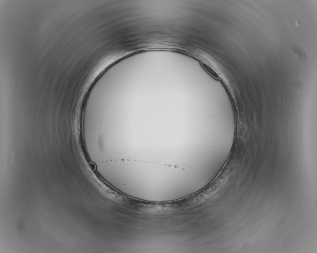 X0000112061195200908251014