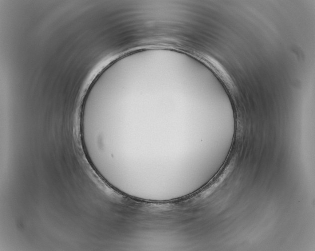 X0000112061196200908251013