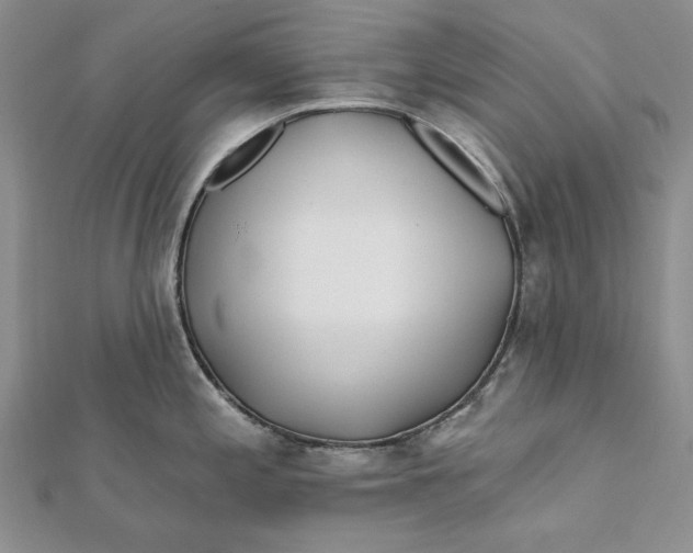 X0000112061197200908251013