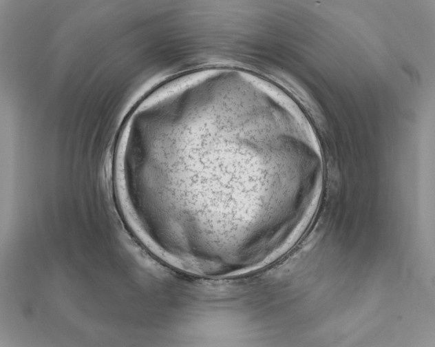 X0000112061198200908251013