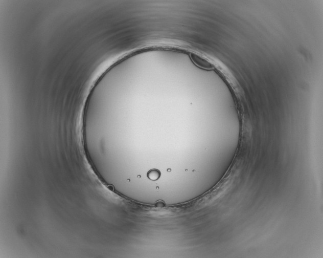 X0000112061199200908251013